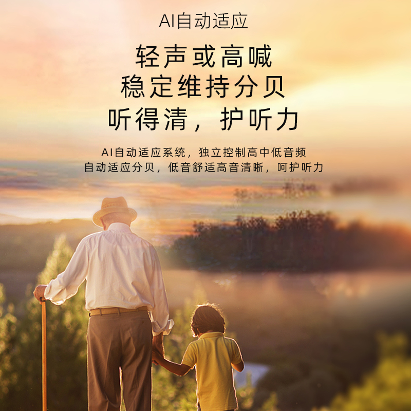 21691# 智能助听器32通道数字降噪